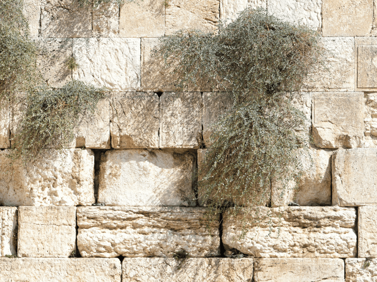 The Seven Last Words of&nbsp;Jesus